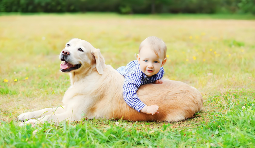 �ȳ�ݵ�����è���������ܳ�Ϊ�Ա�֢�����ġ�����С���֡���